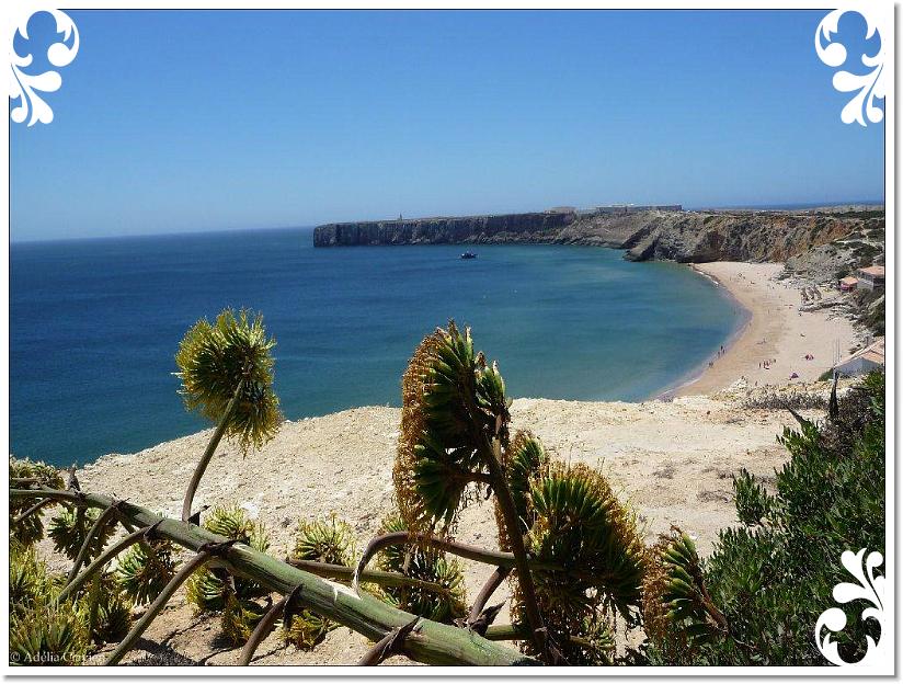 Sagres costa (6)